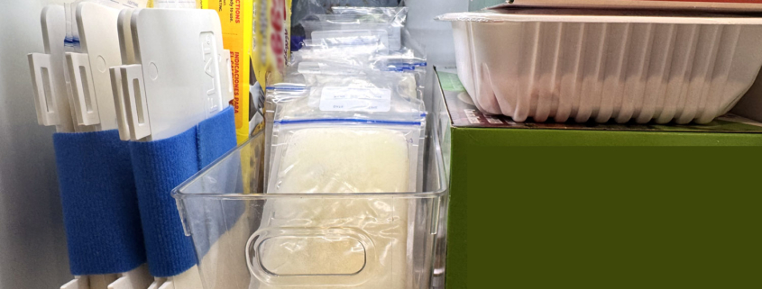 Maximize Your Freezer Space with Freeze Flat Breast Milk Storage Bags Freezer Solution by Priver